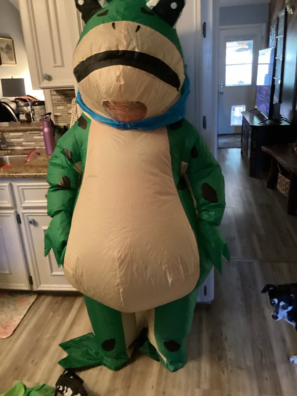 Inflatable frog costume for kids
